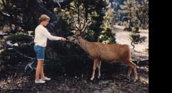 Kay & deer