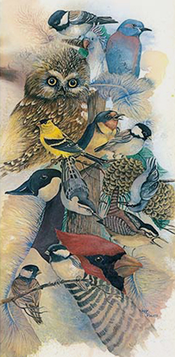 various birds